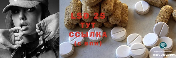 индика Бердск